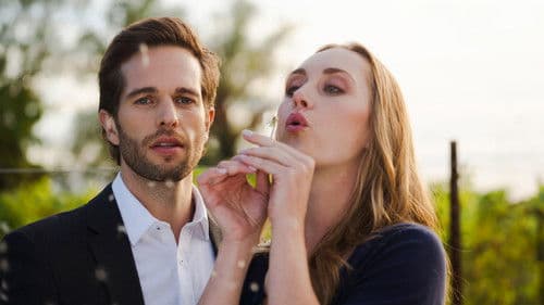 Love in Harmony Valley Bild 2