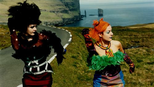 Bye Bye Blue Bird Bild 3