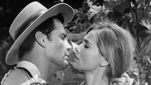 Die Schurken vom Bolivar Bild 2