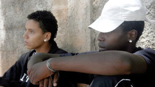 A Vizinhança do Tigre Bild 2