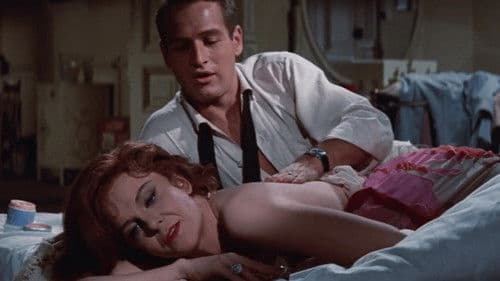 Süßer Vogel Jugend Bild 8