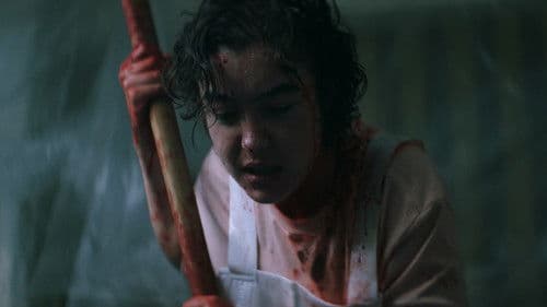 La compañera Bild 1