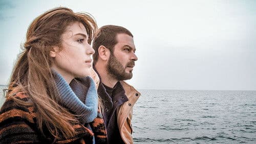 شاخ کرگدن Bild 1