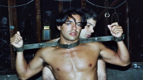 Pirate's Prize Bild 1