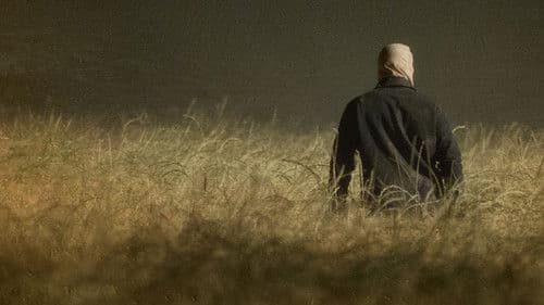 Warte, bis es dunkel wird Bild 4