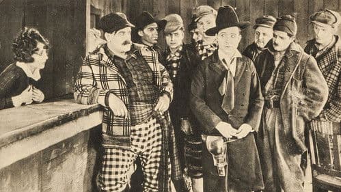 Boobs in the Wood Bild 1