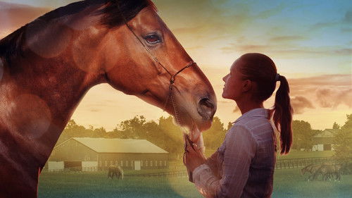 Mein Pferd Holly Bild 3