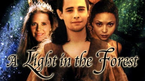 A Light in the Forest Bild 3