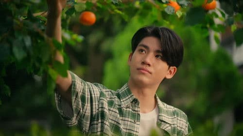 ต้นส้มบ้านเขา แต่ผลส้มหล่นมาบ้านเราตลอดเลย Bild 2