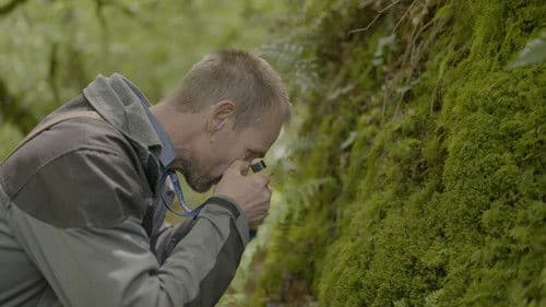 Moose, unscheinbare Helden Bild 5