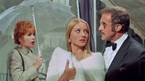 Sweet Charity Bild 8