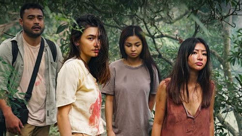 Virgin Forest Bild 3