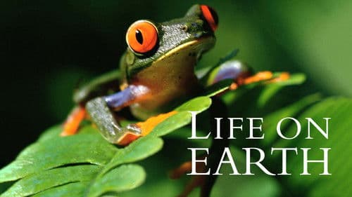 Life on Earth Bild 4