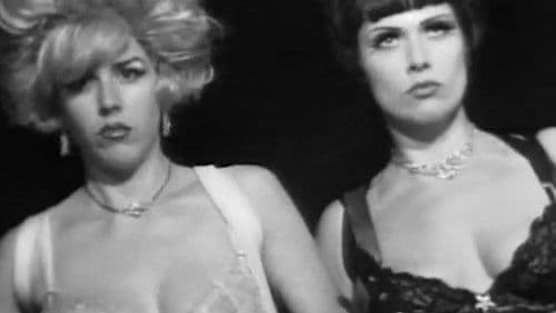 Superstarlet A.D. Bild 4