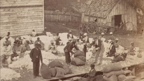 „Onkel Toms Hütte“ – Vom Helden zum Verräter Bild 2