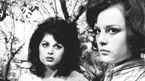 Genç Kızlar Bild 2