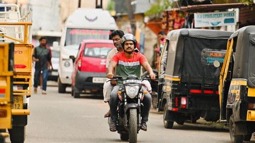 സൗദി വെള്ളക്ക Bild 2