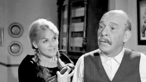 Κυνηγημένη προσφυγοπούλα Bild 5