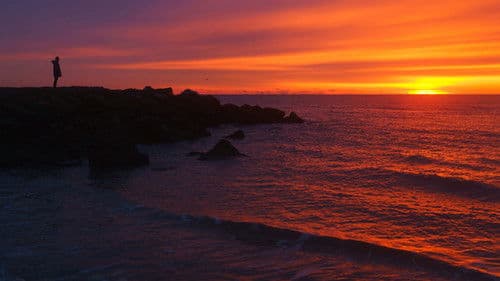 Hello, Goodbye Bild 1