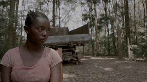 Semillas de Kivu Bild 1