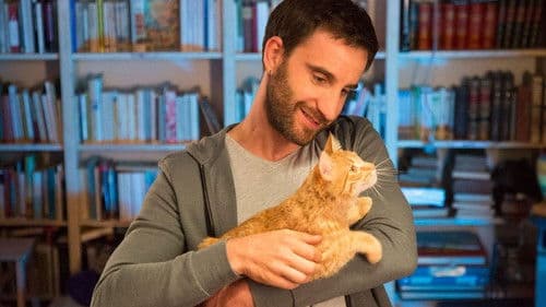 Miamor perdido Bild 6