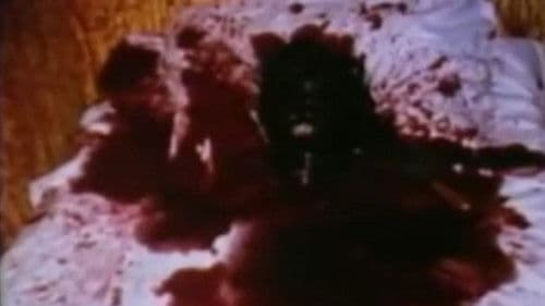 The Making of 'Nekromantik 2' Bild 2