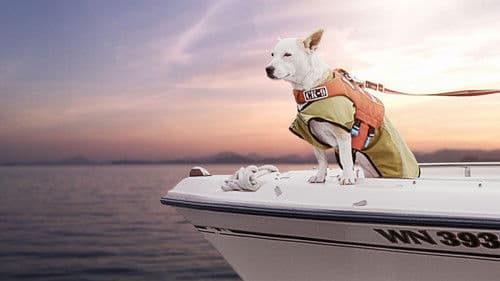 Ein Hundeleben mit Bill Farmer Bild 6