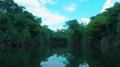 Como Matar um Rio Bild 8