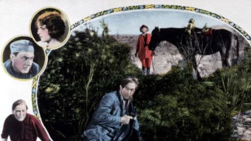 Desert Driven Bild 1