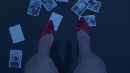 三月のライオン Bild 7