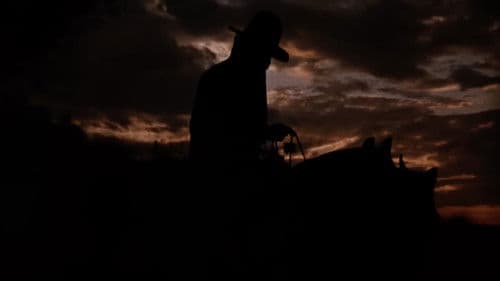 Der weite Ritt Bild 3