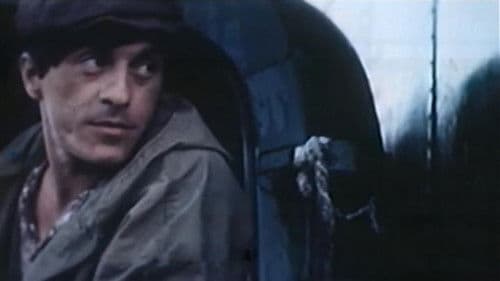 Руда фея Bild 6