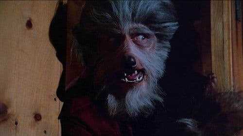 The Boy Who Cried Werewolf Bild 3