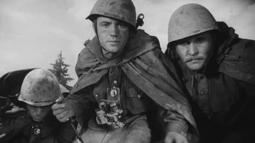 Сын полка Bild 2