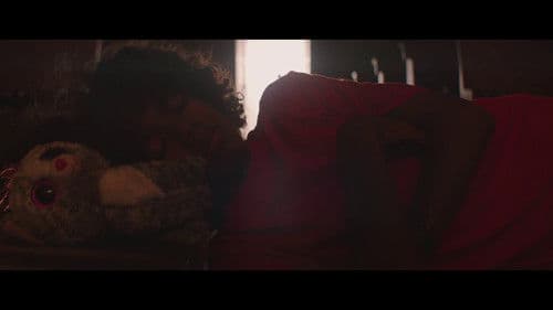 Il Dio dei Gatti è Immortale Bild 3