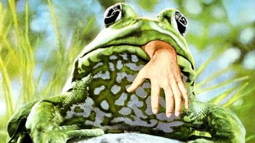 Frogs Bild 2