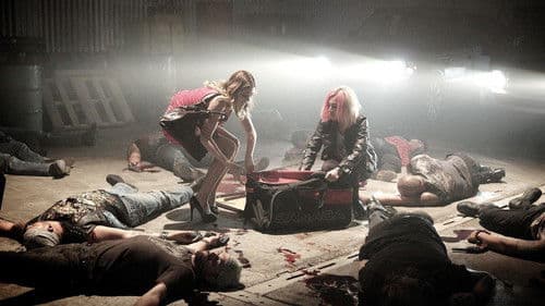 Concrete Blondes Bild 1