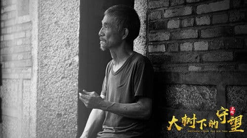 大树下的守望 Bild 1