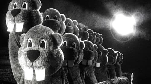 Hundreds of Beavers Bild 7