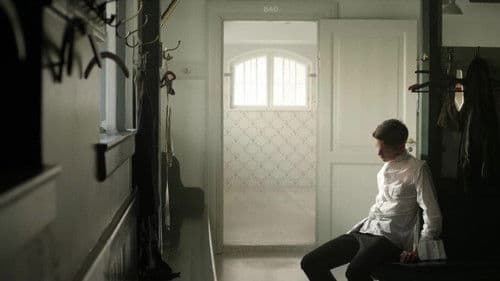 The Danish Boys Bild 3