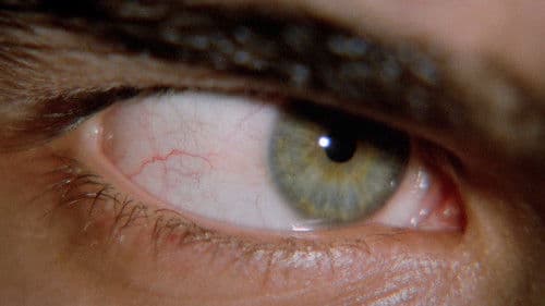 Blutiger Schatten Bild 3