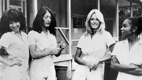 Chesty Anderson U.S. Navy Bild 1