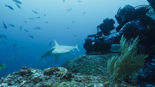 Auf ins Abenteuer mit Bertie Gregory Bild 5