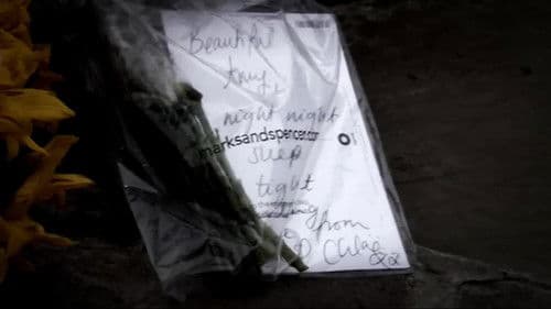 Amy Winehouse: The Final Goodbye Bild 3