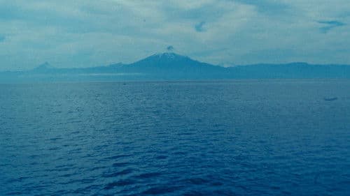 Carta para Raúl Ruiz Bild 1