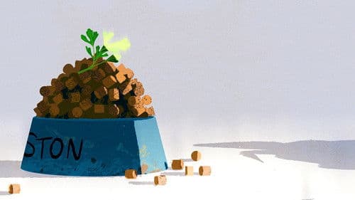 Liebe geht durch den Magen Bild 4