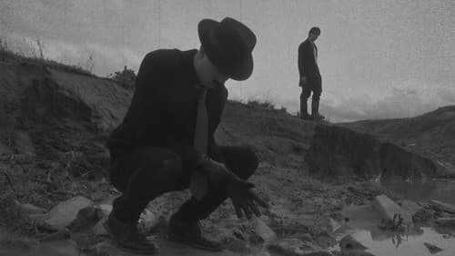 Nightingale Nights Bild 1