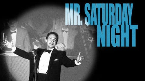 Der letzte Komödiant - Mr. Saturday Night Bild 5