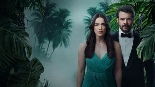 Mystery Island Bild 6