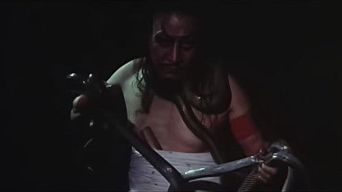 新・団地妻　けものの昼下り Bild 4